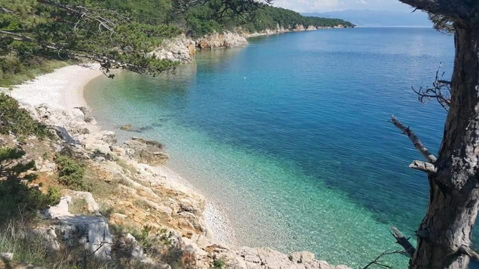 Apartments Adriatic Selce Bagian luar foto